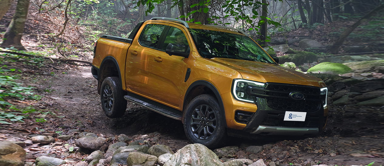 Pickuo Ford Ranger Wildtrak Pick up Distribuidora david